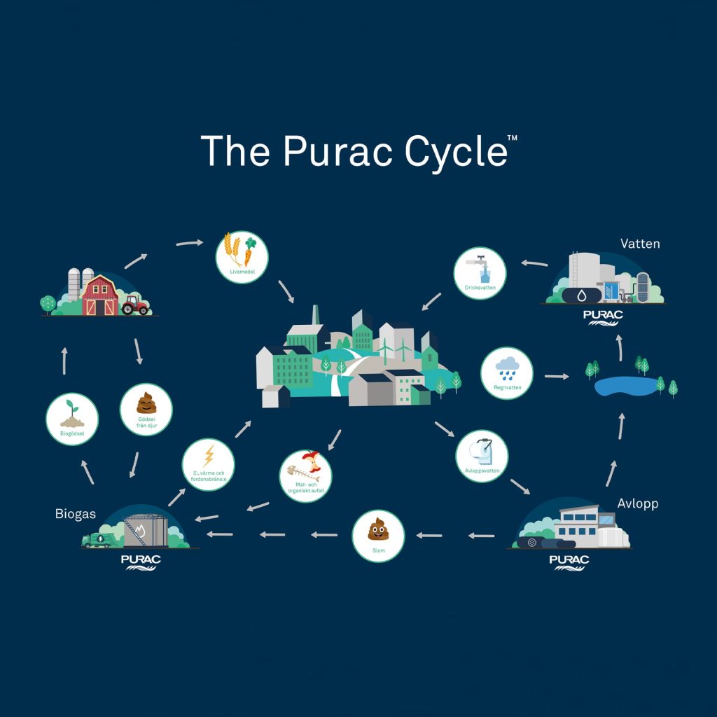 Purac Cycle